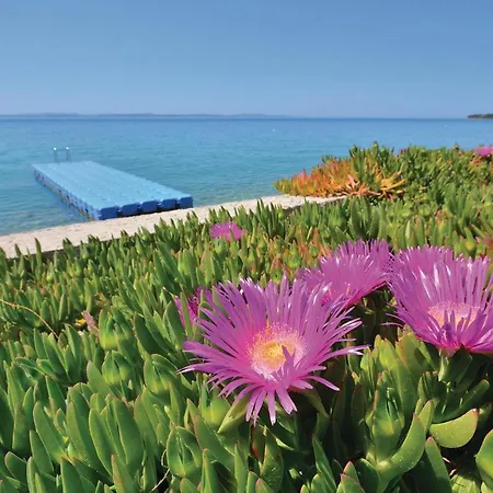 - 6 Сasa de vacaciones Zadar